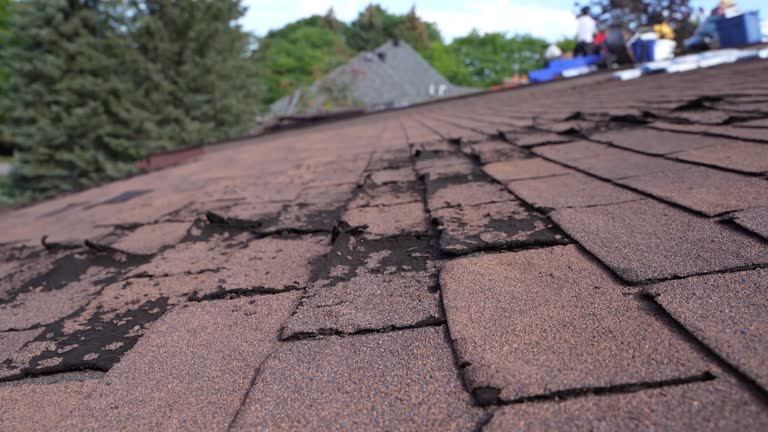 Best Steel Roofing  in Lowell, AR
