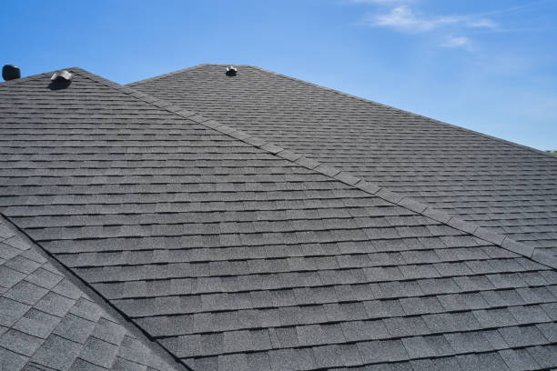 Best Roof Moss and Algae Removal  in Lowell, AR