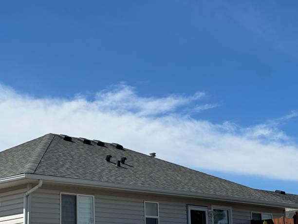 Skylights in Lowell, AR